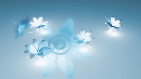 White-and-Blue-Flowers