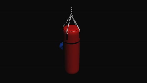 Punching-Bag-With-Boxing-Gloves