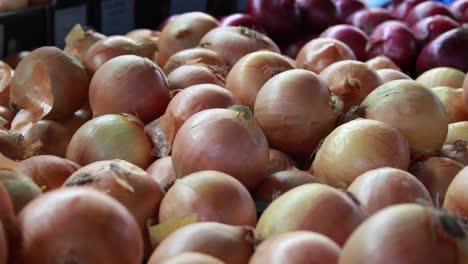 Lebensmittelmarkt---Zwiebeln