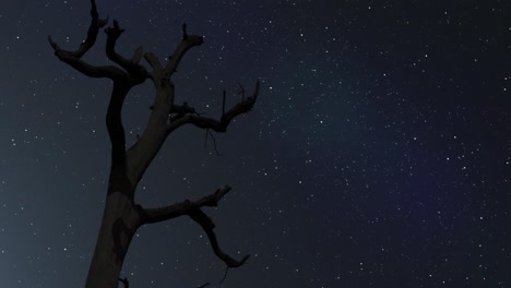 Milky-Way-with-Tree