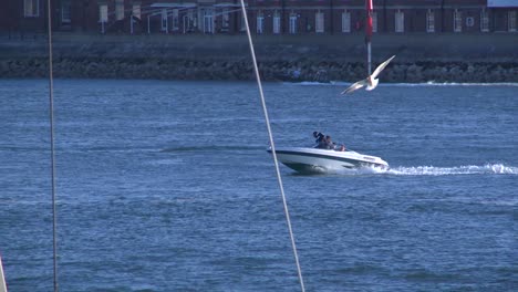 Speedboat-Cruising-in-Harbour