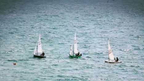 Sailing-Dingy\'s-In-the-Sea