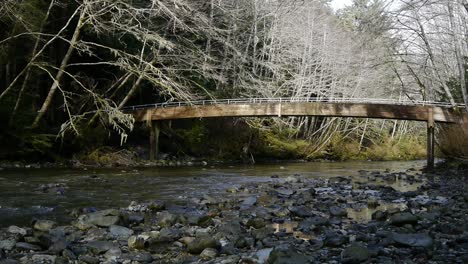 Bridge-and-Creek-