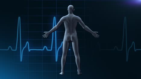 Human-Medical-Background---Loopable
