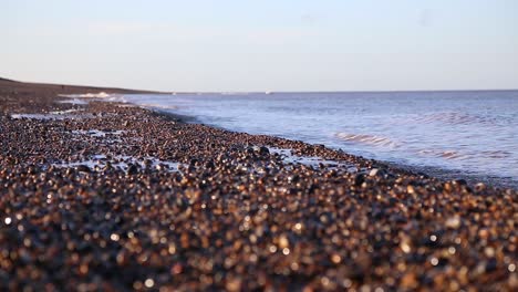 Pebble-Shoreline