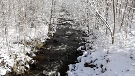 Winter-Stream-CC-BY-NatureClip