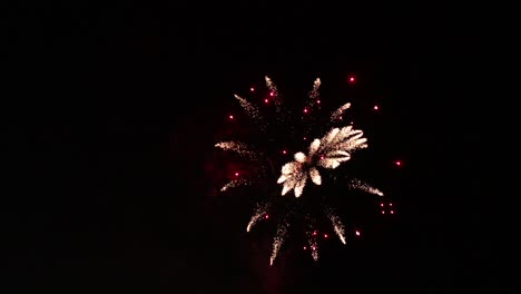 Slow-Motion-Fireworks