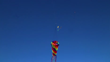 Kites-in-the-Sky