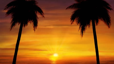 Palmen-Sonnenuntergang