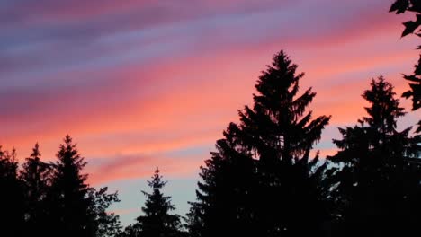 Sunset-Timelapse-Over-Pine-Trees