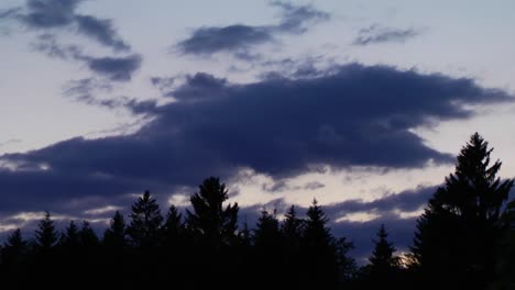 Himmel-Nacht-Zeitraffer-Wolken-Und-Bäume