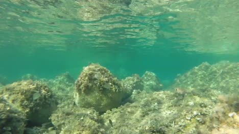 Vista-submarina-del-mar