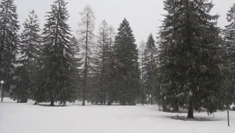 Snowing-in-Slovenia