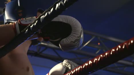 Boxer-Resting-Against-Ropes