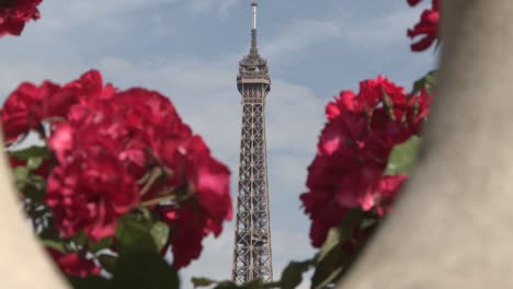 Eiffelturm-Und-Rote-Blumen