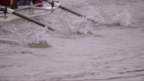 Rowing-Team-Oars-Close-Up-2