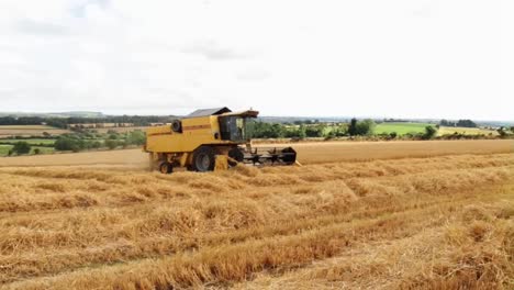 Combine-Harvester-in-Barley-Field