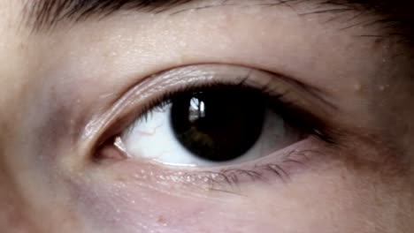 Braunes-Menschliches-Auge-Blinkt