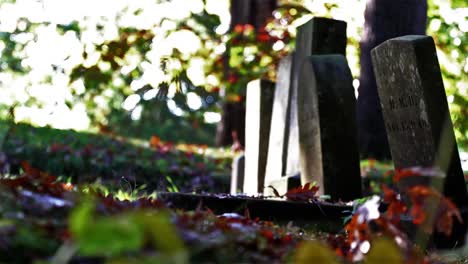 Herbstfriedhof