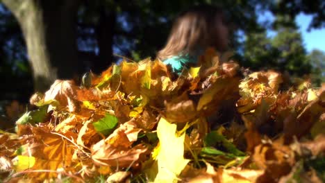 Jumping-in-a-Pile-of-Leaves