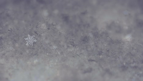 Snowflake-Macro