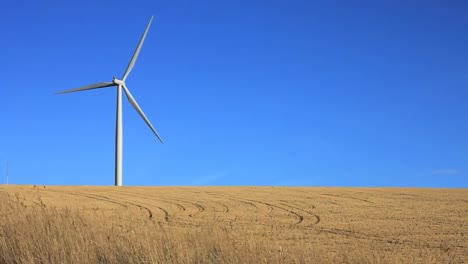 Windkraftanlage-Im-Feld