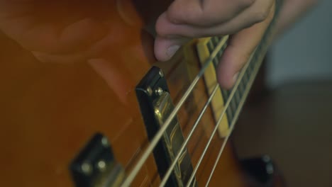 Bass-Guitar-Pickups-and-Strings-Closeup