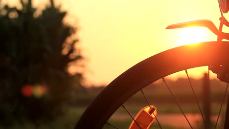 Silhouette-Bike-Sunset