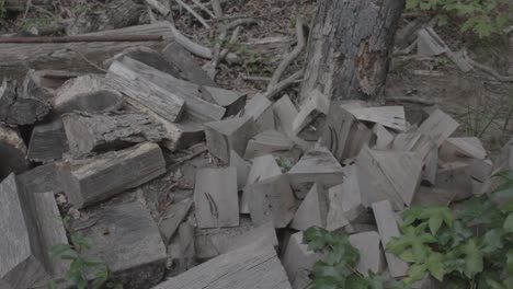 Escombros-de-madera-en-la-pila
