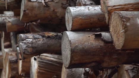 Woodpile-Panning-Shot