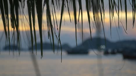 Out-Of-Focus-Shot-of-Sunset-at-Vietnamese-Harbour