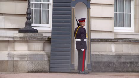 Guard-at-Buckingham-Palace