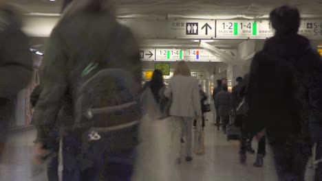 Zeitraffer-In-Der-Metrostation-Tokio