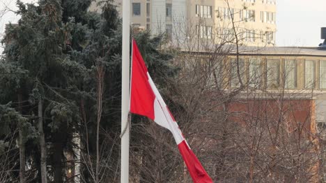 Canadian-Flag-Flying-in-Wind