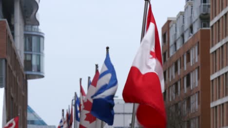 Kanadische-Flagge-Weht
