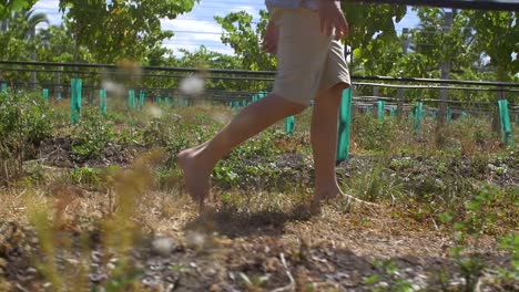 Young-Boy-Walking-Barefoot-Through-Vineyard