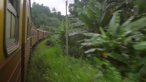 Sri-Lankan-Train-Going-Through-Jungle