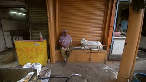 Panning-Shot-of-a-Woman-Sitting-Next-to-a-Goat