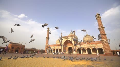 Bandada-de-palomas-frente-a-Jama-Masjid