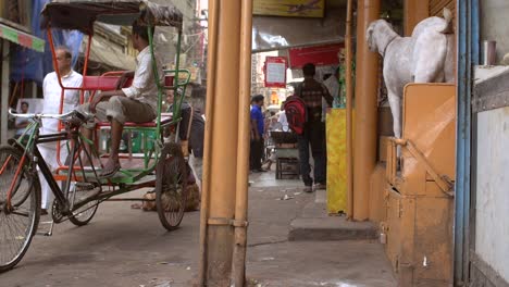 Panning-Shot-of-a-Man-Sitting-in-a-Rickshaw