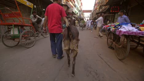 Man-Walking-With-Goat-on-Busy-Indian-Street