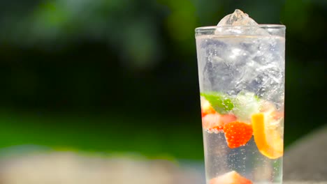 Fizzy-Summer-Cocktail