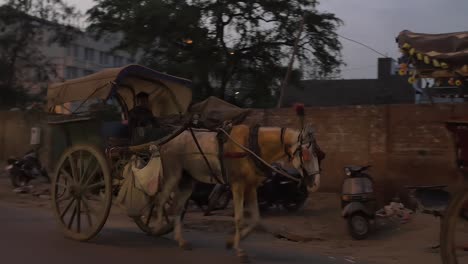 Horse-Drawn-Carriages-in-India-at-Dusk