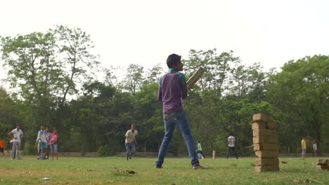 Game-of-Cricket-in-an-Indian-Park