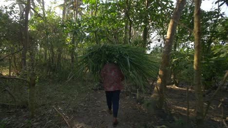 Following-a-Woman-Carrying-Bundle-of-Plants.