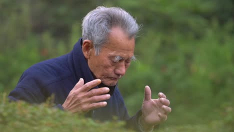Elderly-Man-Performing-Tai-Chi