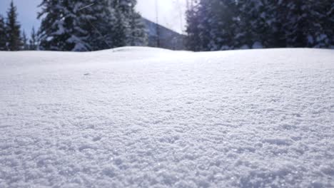Tracking-über-Schneebedeckten-Boden