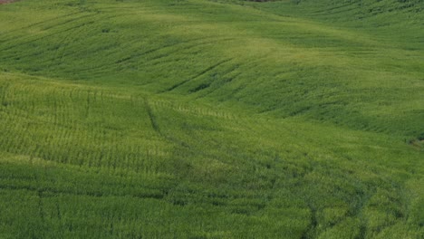 View-of-Green-Fields-at-Dusk