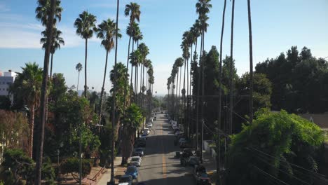 Palmen-Gesäumte-Straße-In-Hollywood