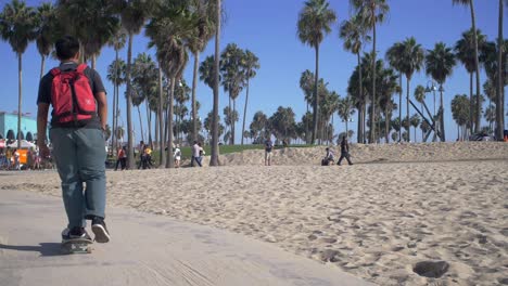 Skateboarders-On-Venice-Beach-Path-LA